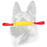 35% OFF - LIMITED OFFER. French Linen Puppy Bite Tug for Efficient Training 35% OFF - LIMITED OFFER. French Linen Puppy Bite Tug for Efficient Training