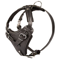 Protection Leather Dog Protection Leather Dog Harness