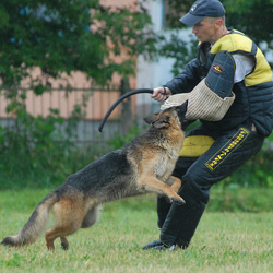Schutzhund Bite Sleeves protection bite sleeve - schutzhund bite sleeve
