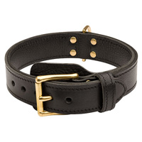 Agitation collar- training dog collar