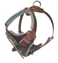 Leather dog harness
