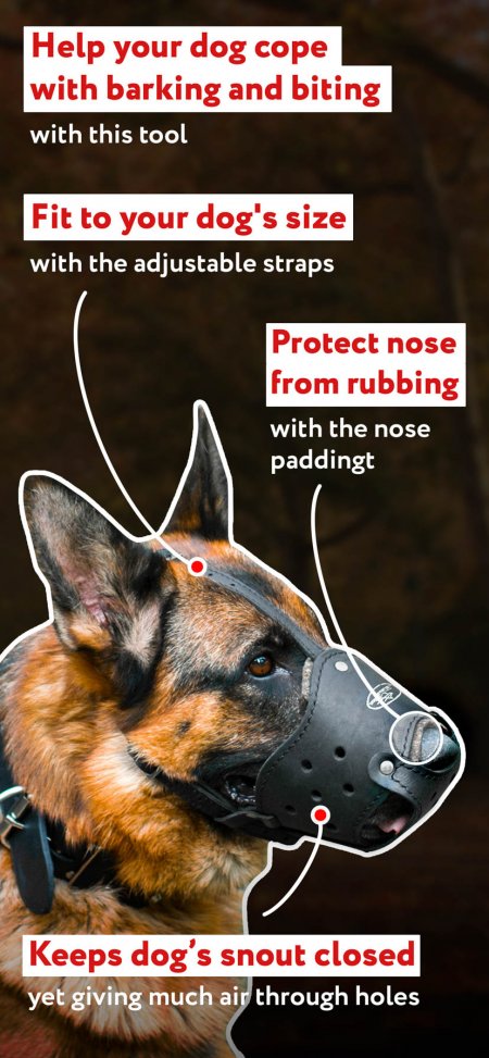 most comfortable dog muzzle