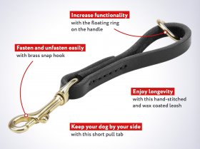 Dependable Easy Fast Grab Dog Leash Dependable Easy Fast Grab Dog Leash