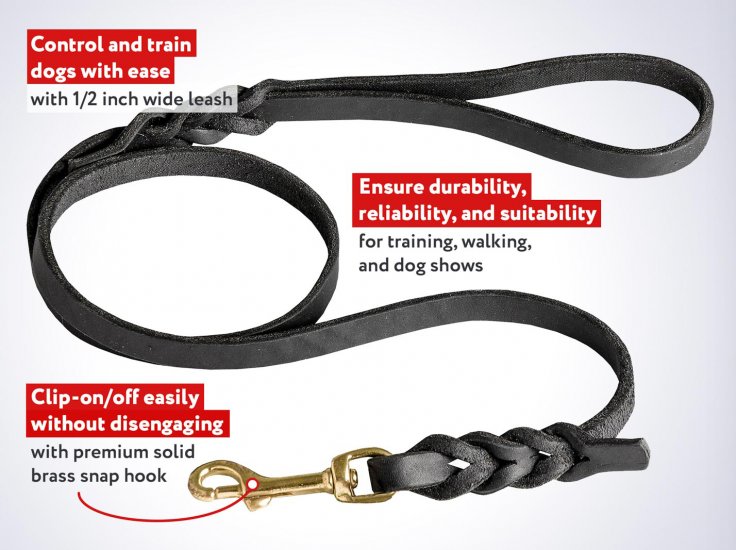 premium leather dog leash