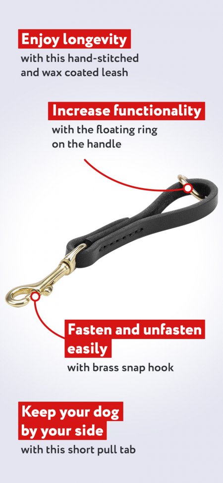 easy grab dog leash