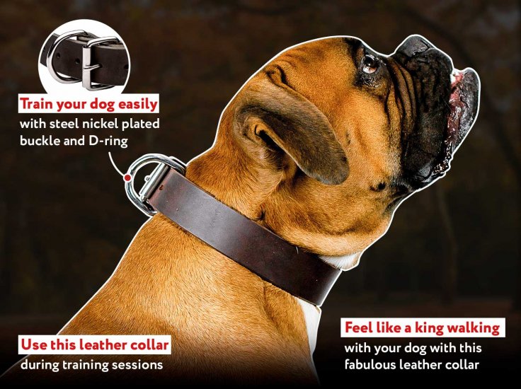 what breeds of dogs have collars