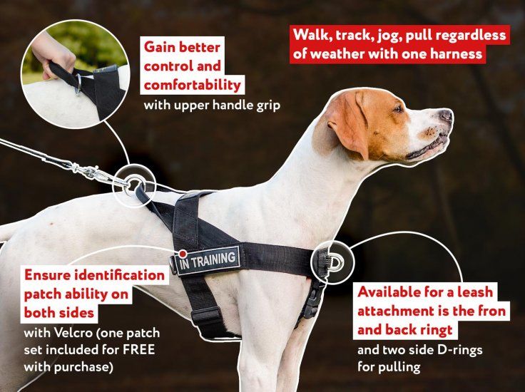 professional dog leads