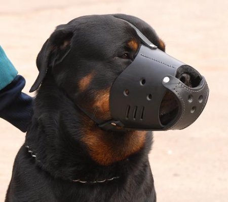 Dog muzzle for rottweiler sale