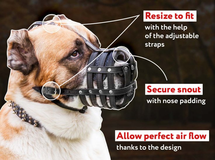 how long can you keep a muzzle on a dog