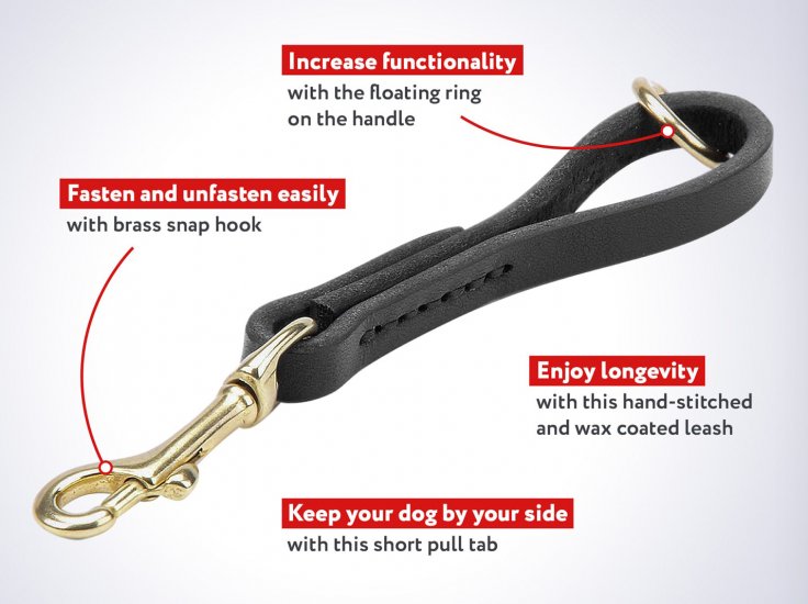 easy grab dog leash