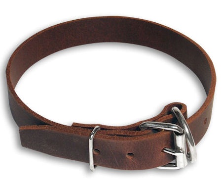 embroidered leather dog collars
