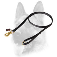 dog muzzle leash