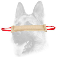 Fire Hose Dog Bite Toy With Handle for Young Dog Training