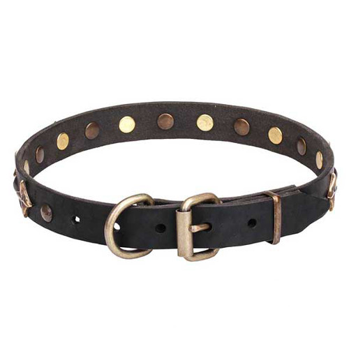 Dog collar with reliable bronze-plated buckle