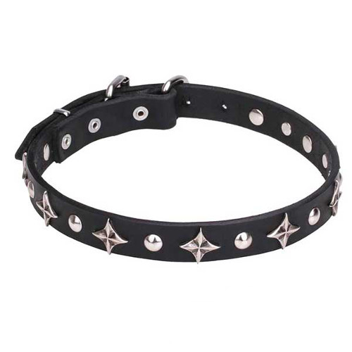 Dog genuine leather collar with rust-resistant adornments