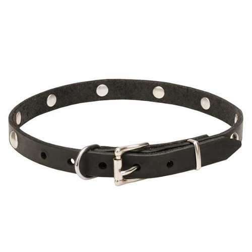 Decorated pure leather dog collar for daily walking