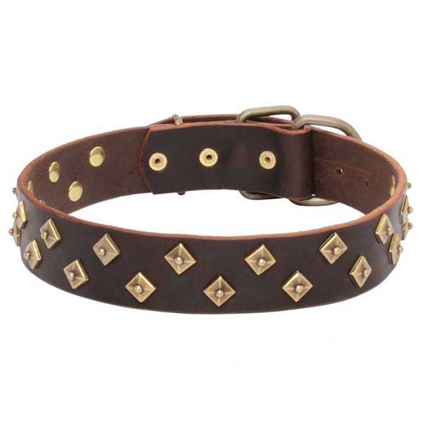 Natural leather dog collar for safe walking