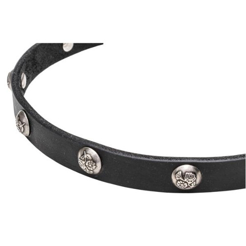 Leather dog collar with manually set nickel studs