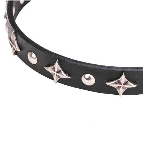 Leather dog collar with reliably set stars and studs