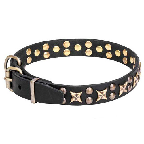 Genuine leather dog collar decorated with old bronze studs