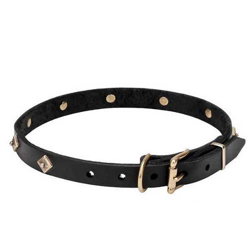 Leather dog collar with reliable brass buckle