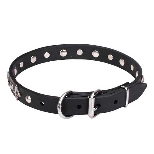 Dog collar with reliable chrome-plated hardware