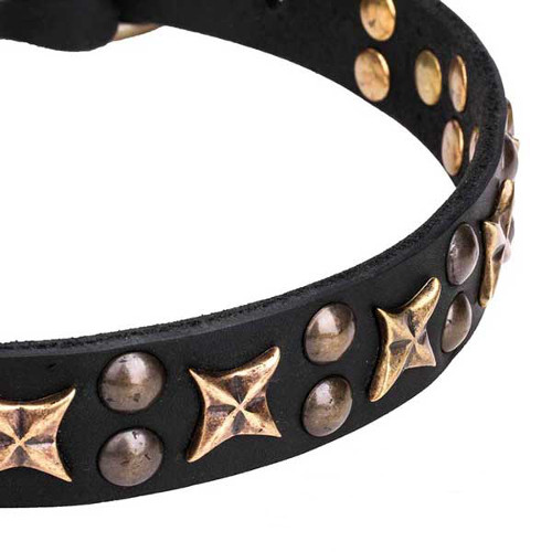 Dog collar with reliably fixed decorations