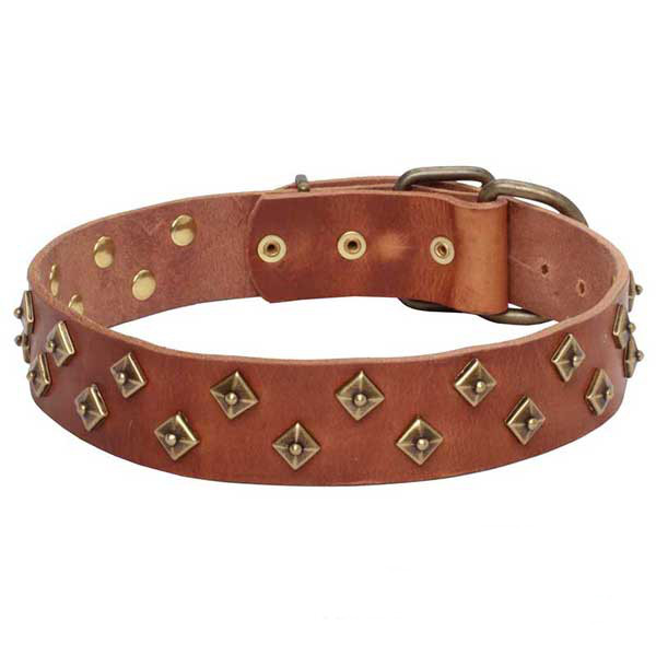 Strong leather dog collar with stunning adornments