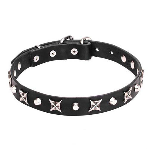 Genuine leather dog collar decorated with stars and pyramids