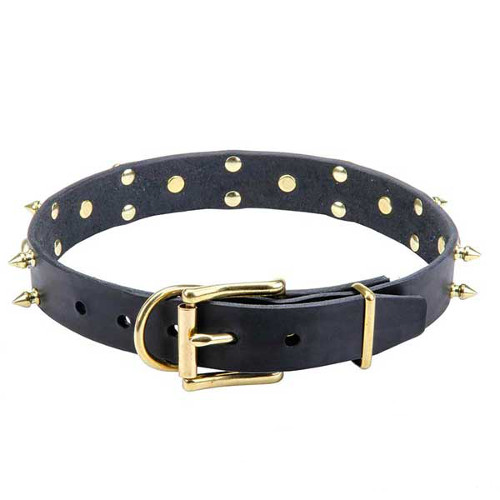 Reliable leather dog collar with sturdy decorations
