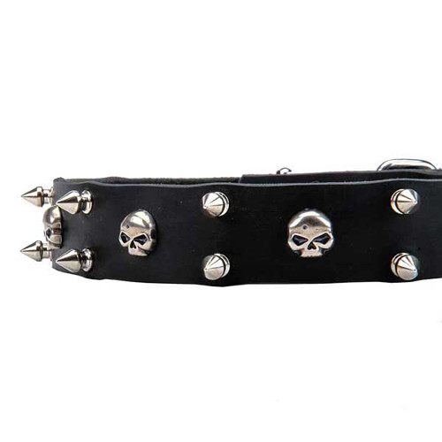 Reliably set nickel spikes and skulls on dog collar