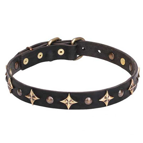 Genuine leather dog collar for walking in style