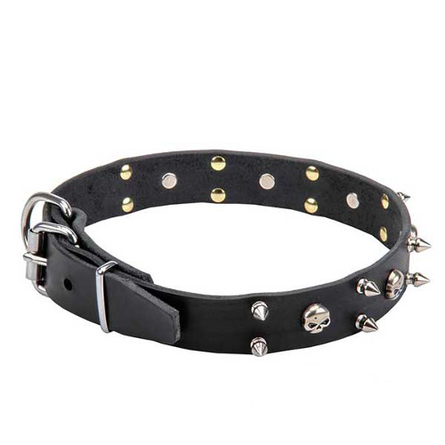 Leather collar of outstanding design