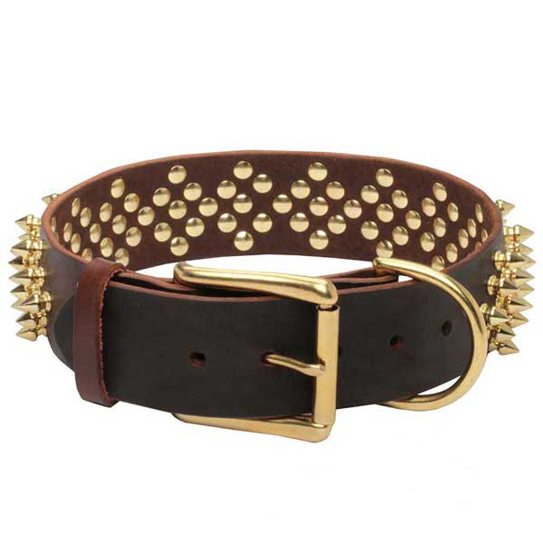 Outstanding leather dog collar with shiny spikes