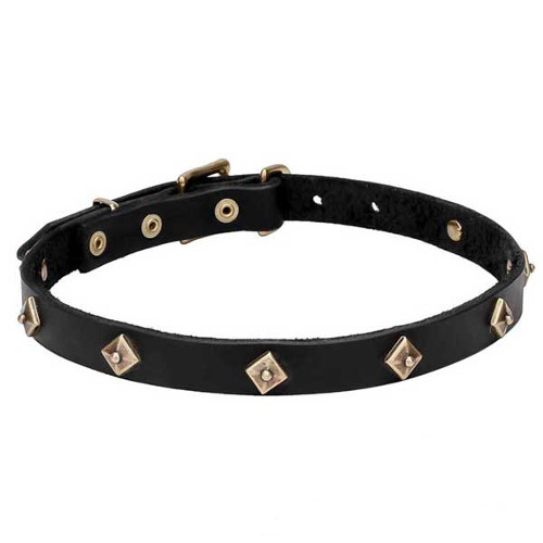Genuine leather dog collar with brass rhombs