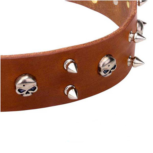 Reliable leather dog collar with skulls and spikes