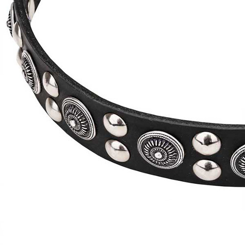 Dog collar with reliably set decorations