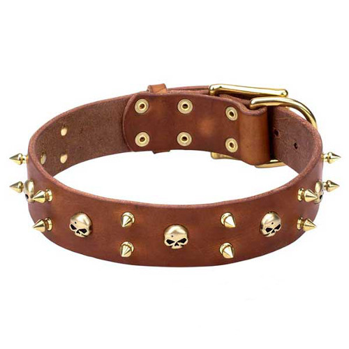 Leather dog collar with riveted brass decorations