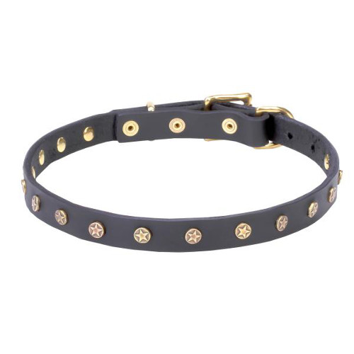 Remarkable pure leather dog collar with riveted brass decorations