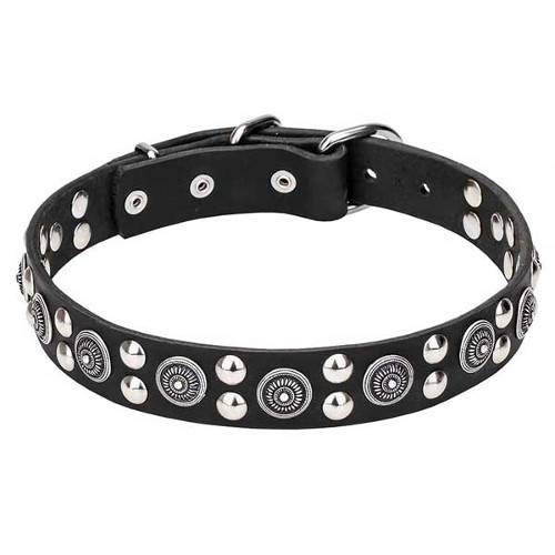 Genuine leather dog collar with rust-resistant round circles and studs