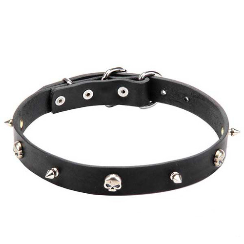 Genuine leather dog collar with skulls and spikes