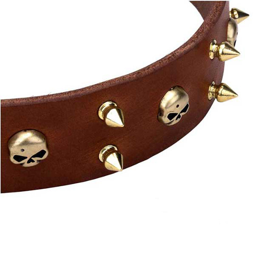 Dependable leather dog collar with skulls and spikes