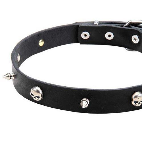 Leather dog collar with handset nickel decorations