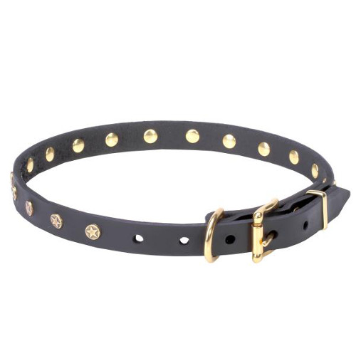 Dependable leather dog collar with sturdy buckle