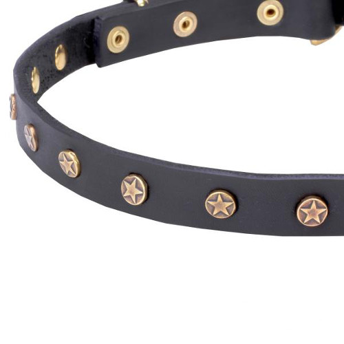 Securely set studs on leather dog collar