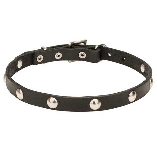 Designer decorated leather dog collar