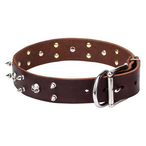 Strong dog collar with decorations