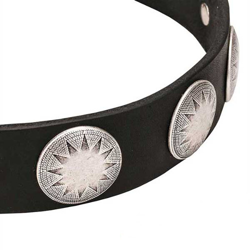 Dog collar with fixed circles