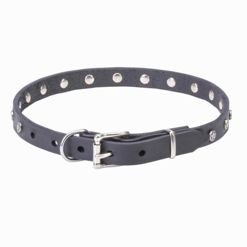Leather dog collar with sturdy nickel buckle