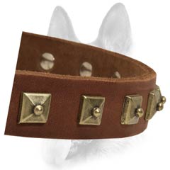 Exclusive leather buckle dog collar